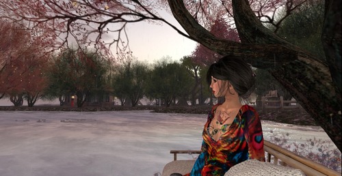 Web 552507cea73e2140df000001