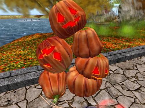 Web 5f9eca7f73ed177fd9ea44fd