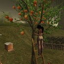 Thumb 53565f59a73e215025000001