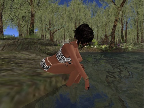 Web 535d136d128cc91d85000001