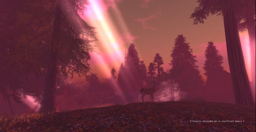 Web 5363d59d128cc9425e000001