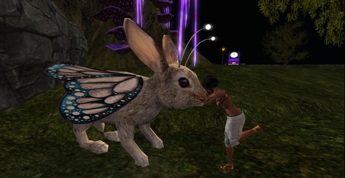 Web 5366f424f8a1ec4ac3000001