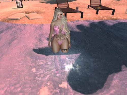 Web 5e3c2f09289dd23f18468042