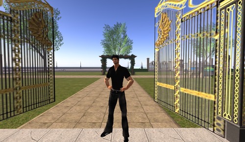 Web 50e46f822909f72853000001