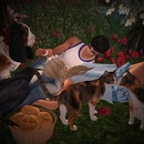 Thumb 57517b32b0154055a3000001