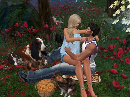 Web 575178ceb015404eda000001