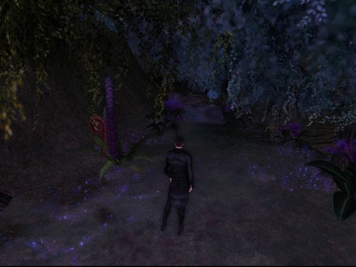 Web 5416885d8da5723e39000001