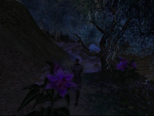 Web 541688d68da572405c000001