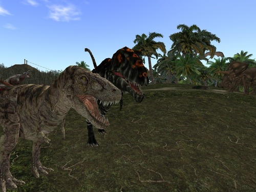 Web 5531fe1a8da5722214000001