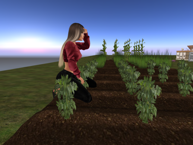 Original 5e883ce1d9859c6b1ea29fbd