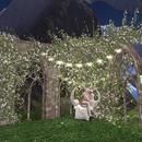 Thumb 61865fee5c4aff5981ff7eba