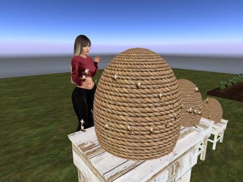 Web 5e883b69d9859c5b98962feb