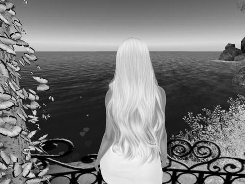 Web 5ee532d9d774f81c00f2b792