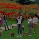 Thumb 573f69b9b015405856000001