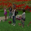 Thumb 573f69eab015405c96000001