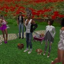 Thumb 573f6b67b015407044000001