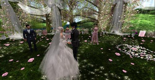 Web 5a072973d9859c6c35000001