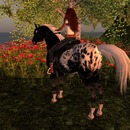 Thumb 5207f2d7124aa943b3000001