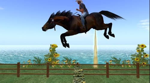 Web 521821d8d9152457bc000001