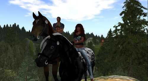 Web 52196186addc2a2d7f000001