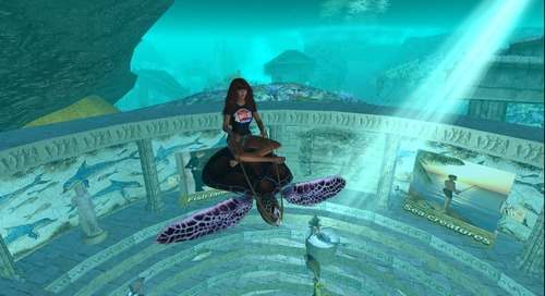 Web 521d576a021bae398f000001