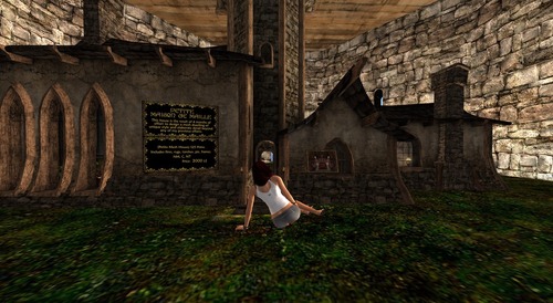 Web 53b9e782a73e21675b000001