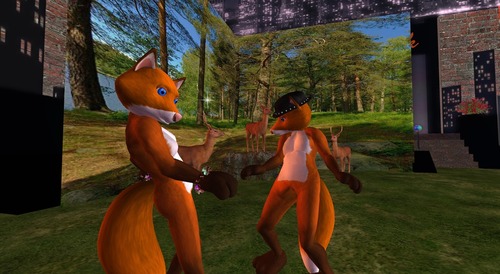 Web 54487533f8a1ec322b000001