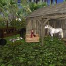 Thumb 5e369ded289dd2337b468042