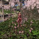 Thumb 5e36a0db73ed1736d7c28c8c