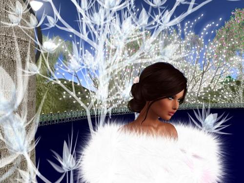 Web 5d11ddd3289dd270af000001