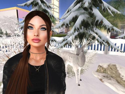 Web 5e1c269dd774f8038cb30ca2