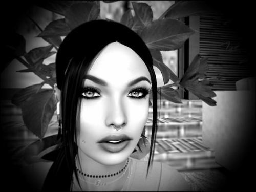 Web 5e1c8df2289dd260b0326674