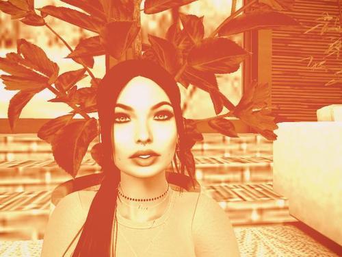 Web 5e1c8e7773ed176243ae48b3