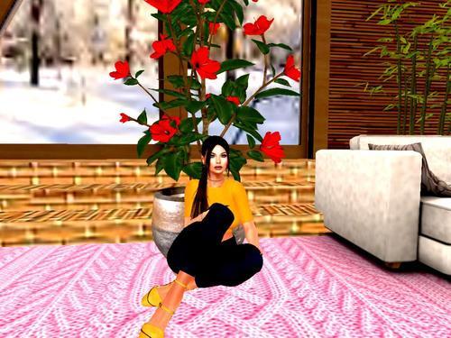 Web 5e1c8ec4289dd26a939c7b1c