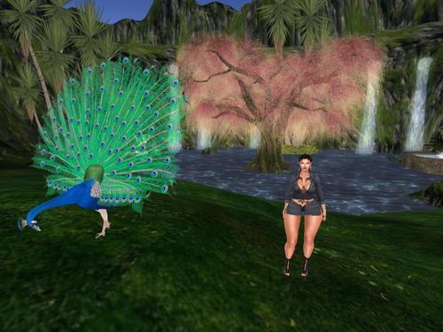 Web 5e3ad24b289dd251bc468042