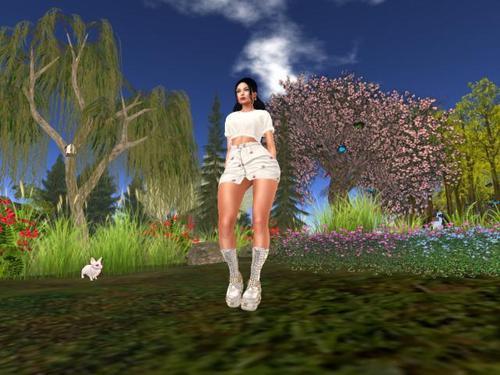 Web 5eb6e370d9859c77a3e2ea6a