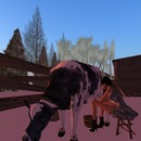 Thumb 5104684f035cd452cc000001