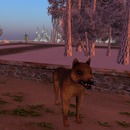 Thumb 51046c343dcb0f1b35000001