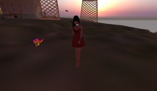 Web 510475515181a426f9000001