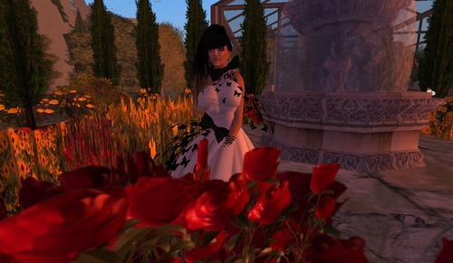 Web 5106dfd00ebdb06401000001