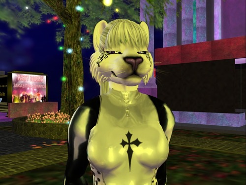 Web 522628861918187528000001