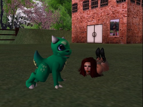 Web 5234468a4d382e3875000001