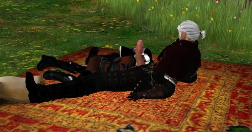 Web 554ef007128cc953ee000001