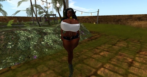 Web 56f1995ae85cda328e000001