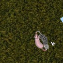 Thumb 56bbcc4af8a1ec76d6000001