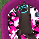 Thumb 589d27bff8a1ec01c3000001