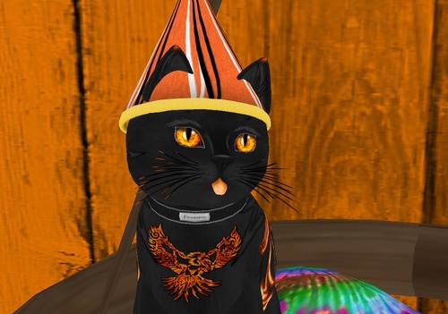 Web 5263fee9f9b7cf066d000001