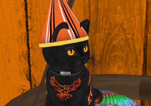 Web 5263ff3eb944210ed8000001