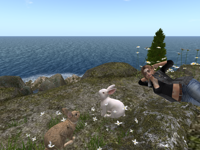 Original 62b8eb7d23a0bd2e5d6c9598