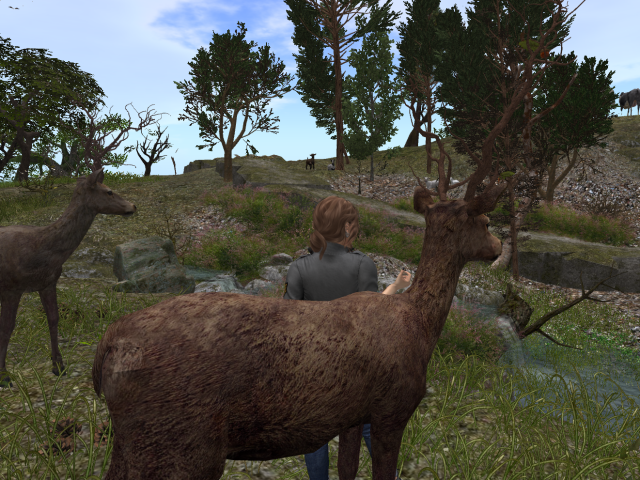 Original 62b8ec856b287232150df13d